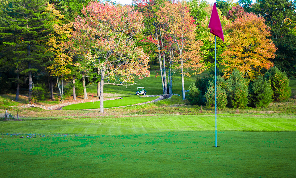 ponderosa lodge golf course green